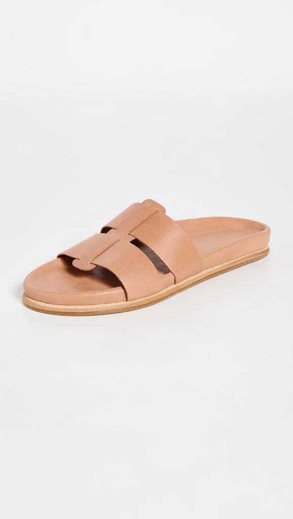 beek Courser Slides 4