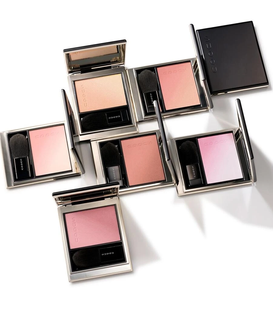 Suqqu Blurring Color Blush 3