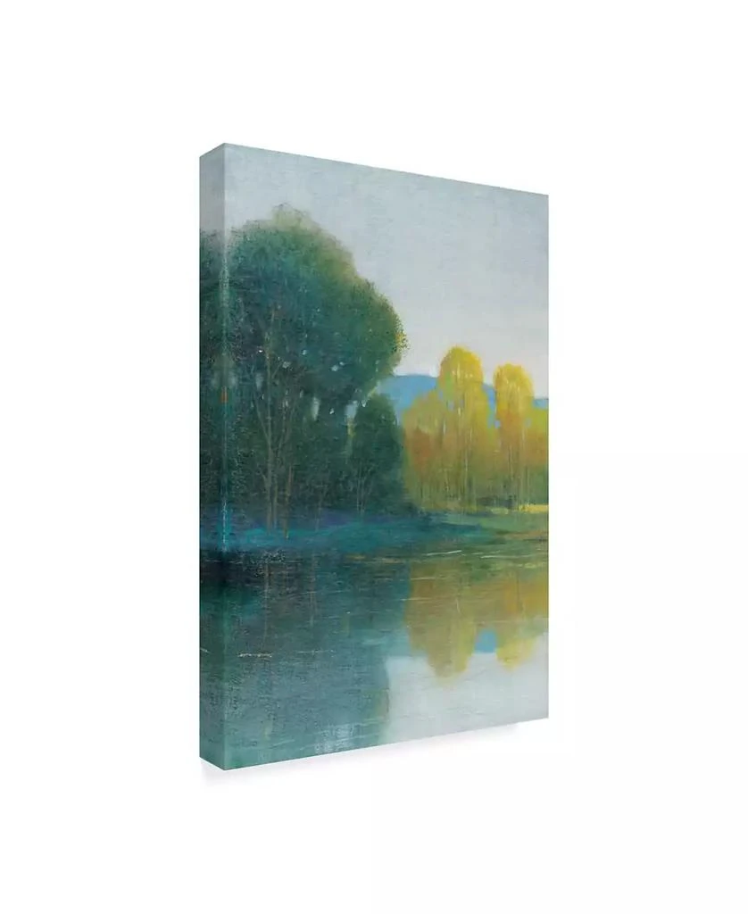 Trademark Global Tim Otoole Last Light I Canvas Art - 20" x 25" 2