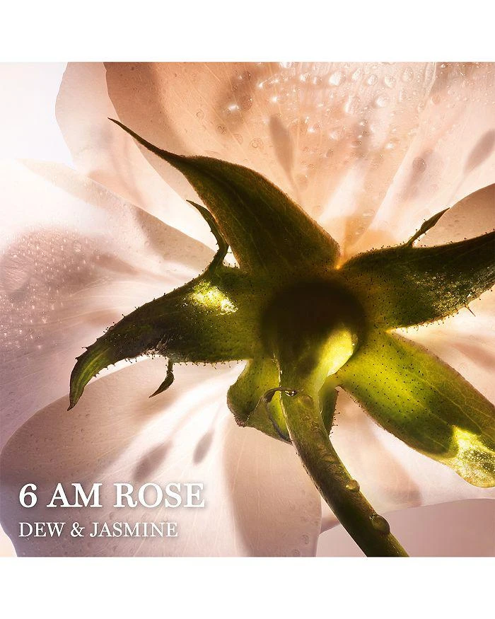 Lancôme Absolue 6 AM Rose Eau de Parfum 3.4 oz. 3