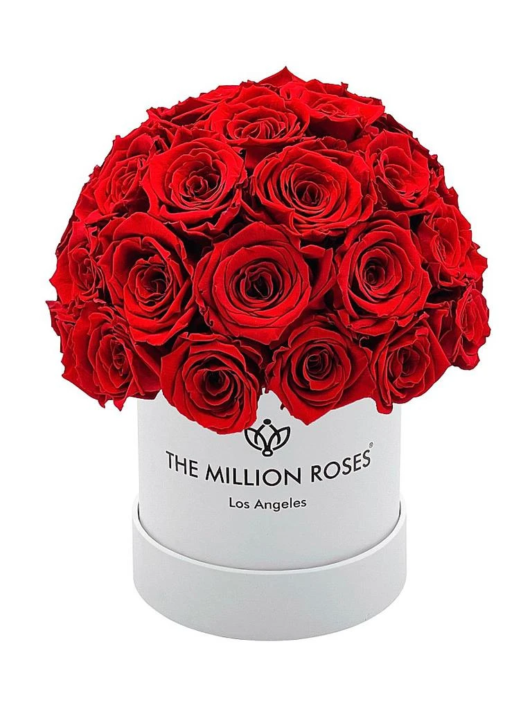 The Million Roses Basic Red Roses In Superdome Box 1