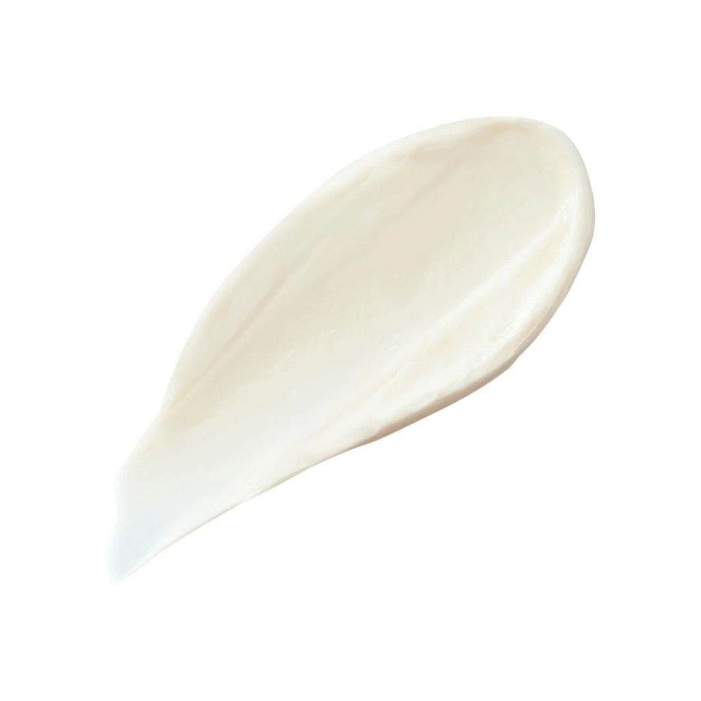 Christophe Robin Regenerating Mask With Rare Prickly Pear Seed Oil 2