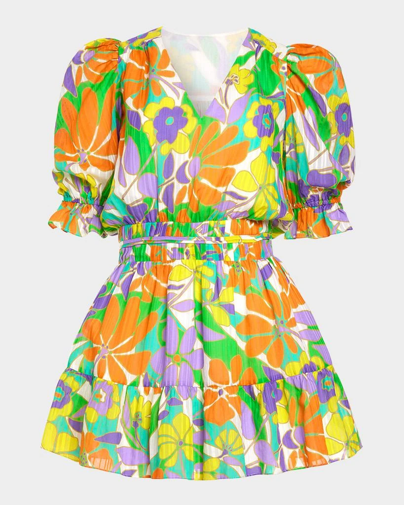 Ramy Brook Retro Garden Susan Mini Dress 1