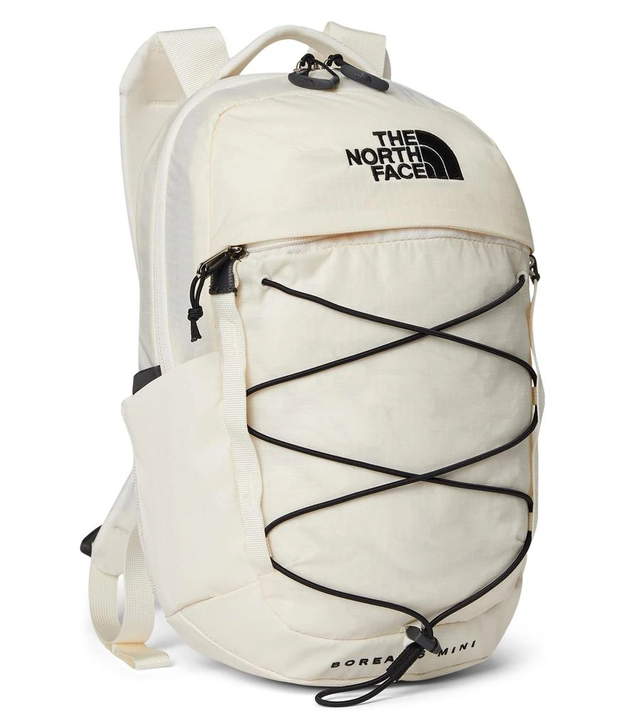 The North Face Borealis Mini Backpack 1