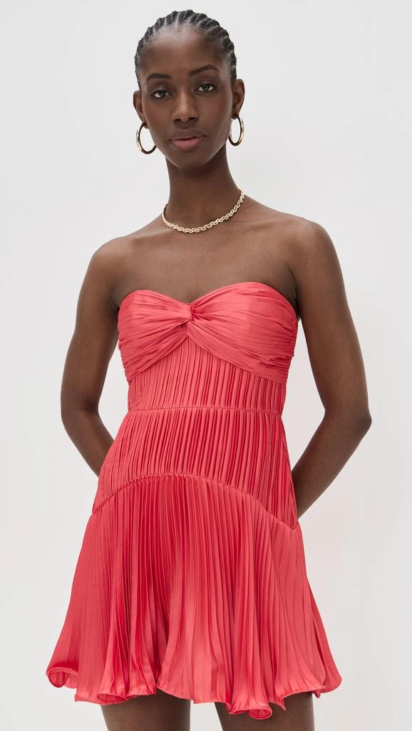 AMUR Catrina Mini Pleated Dress 6