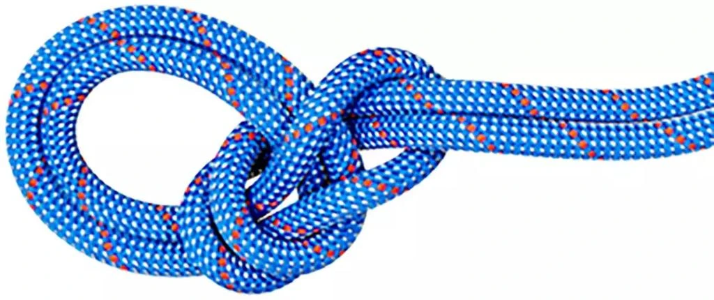 Mammut Mammut 9.5 Crag Classic Rope 1