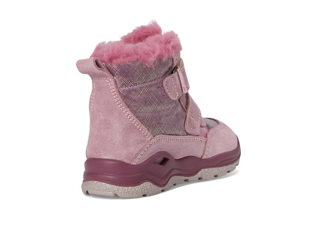 Primigi Kids PGYGT 68612 (Toddler/Little Kid) 5
