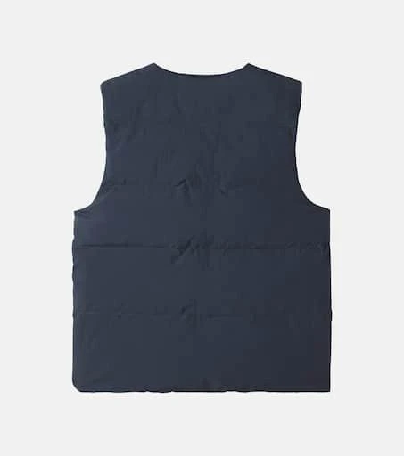 Donsje Dimri vest 2