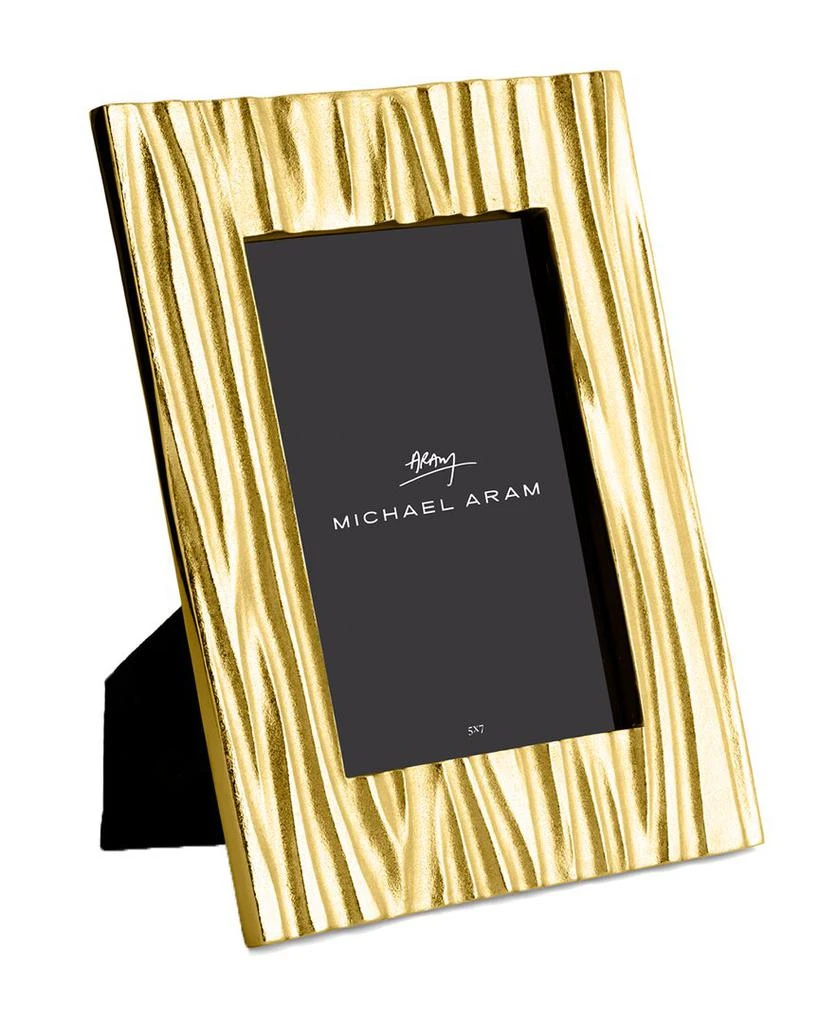 Michael Aram TV DNU  Driftwood Frame Gold 2