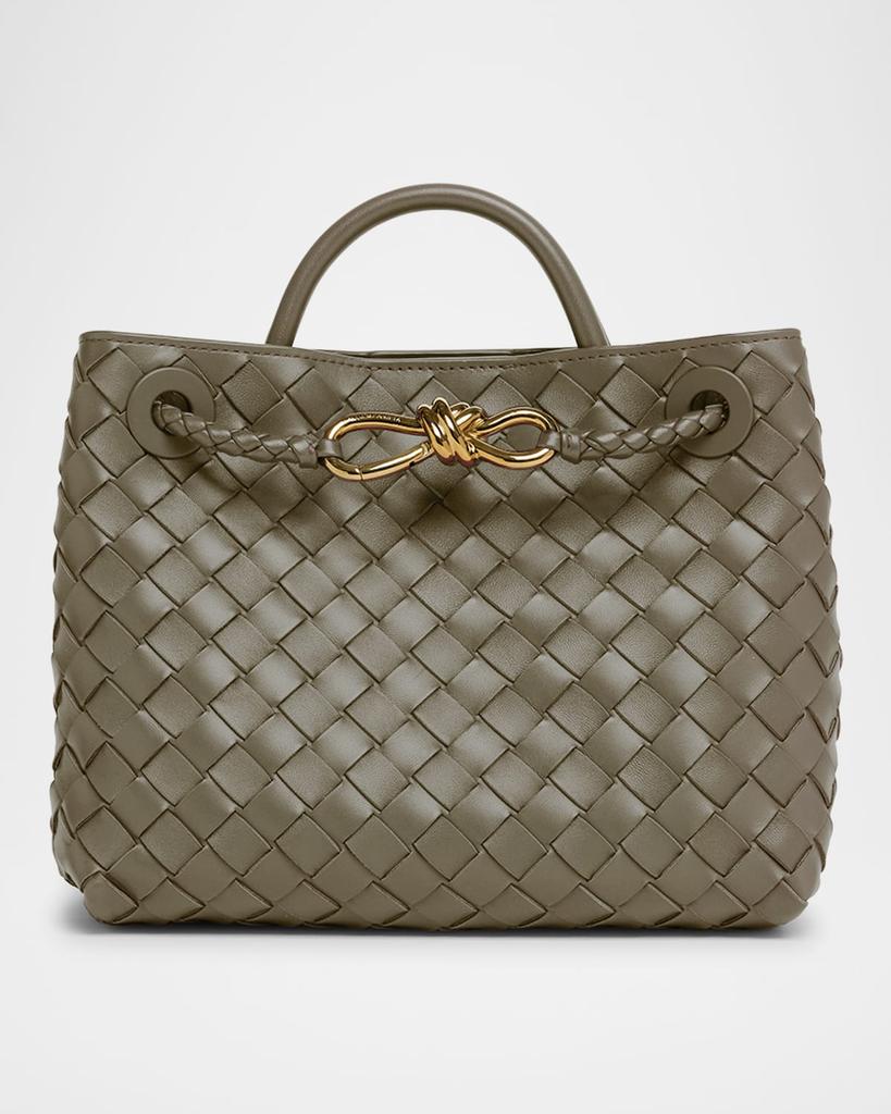Bottega Veneta Small Andiamo Bag - Tote Bags - Compare