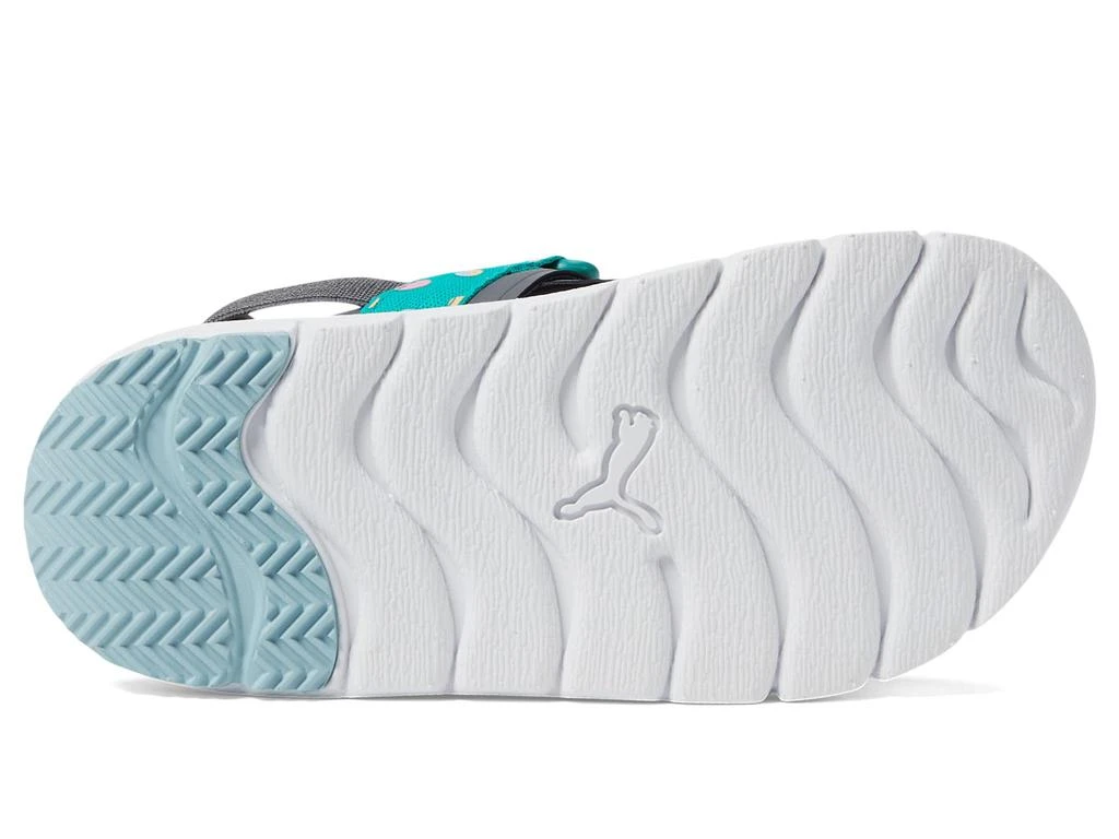 Puma Evolve Sandal Summer Camp Alternate Closure (Little Kid) 3