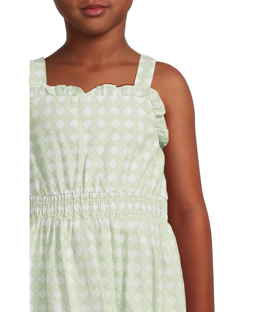 Janie and Jack Cane Print Dress (toddler/Little Kid/Big Kid) 3