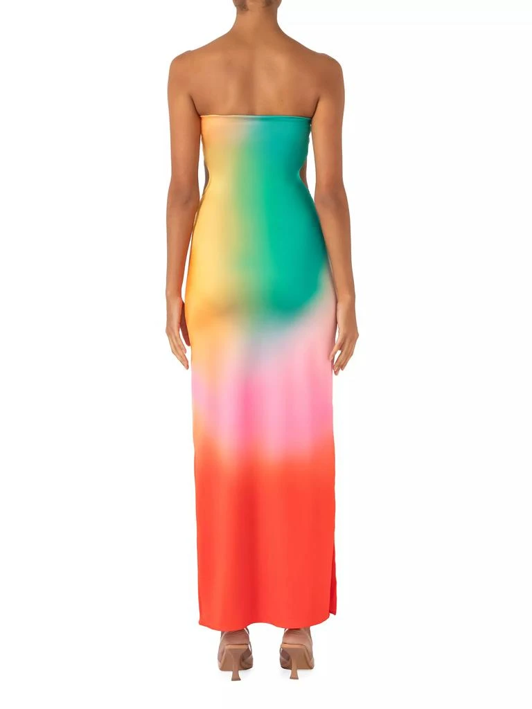 Baobab Mambo Maxi Dress 4