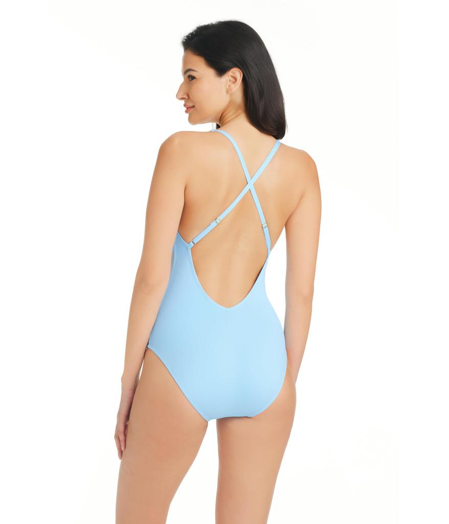 Bleu Rod Beattie Don’t Mesh With Me V-Neck One-Piece