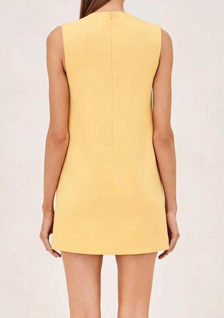 Alexis Alexis - vango mini dress 2