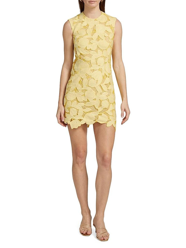 Mickie Lace Sheath Minidress  On Sale Now with Up to 77% Off | Discover  Exclusive Deals & Savings at BeyondStyle  Authentic SIMKHAI lace |sheath|floral|mini-length|crewneck|dresses|lgbtq-owned or  founded|sleeveless|women's|women's apparel|contemporary ...