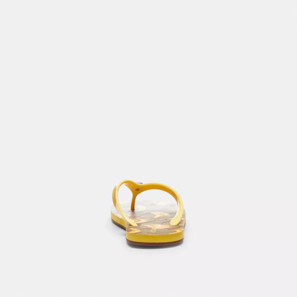 Coach Zayn Flip Flop With Fruit Print - Slippers - Compare