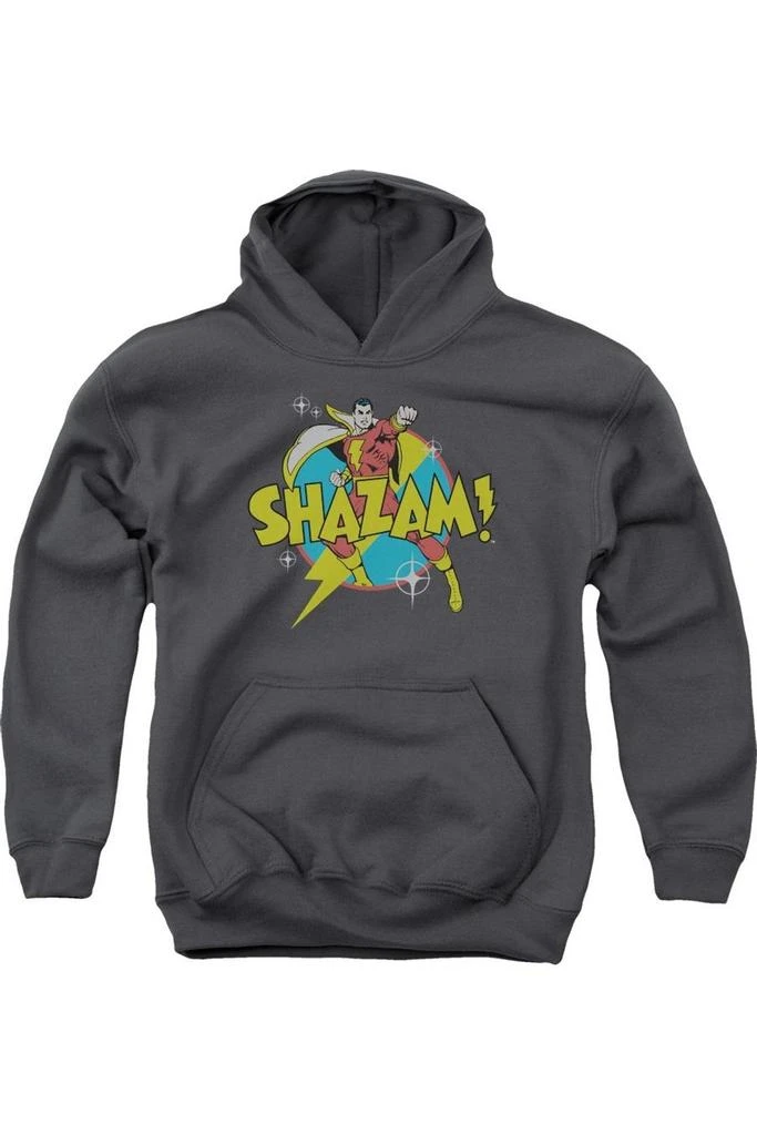Gildan DC Comics Shazam Power Bolt Youth Pull Over Hoodie / Hooded Sweatshirt 1