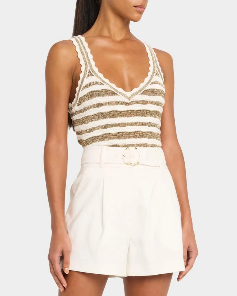 VERONICA BEARD Binetto Stripe Knit Tank Top 4