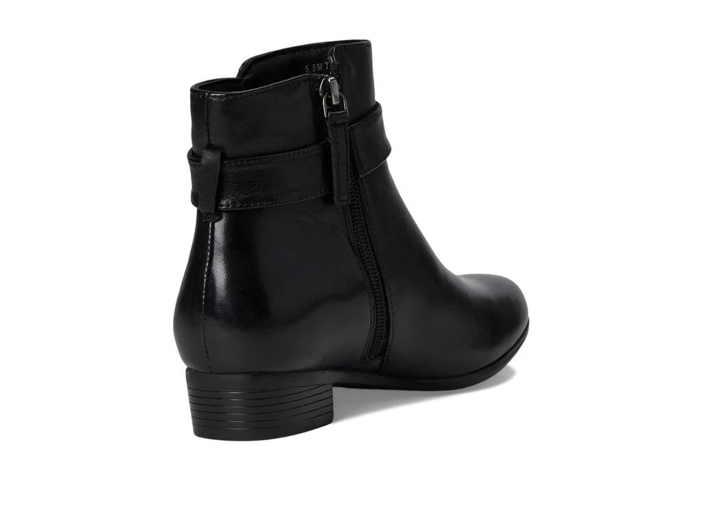 Trotters Melody 5