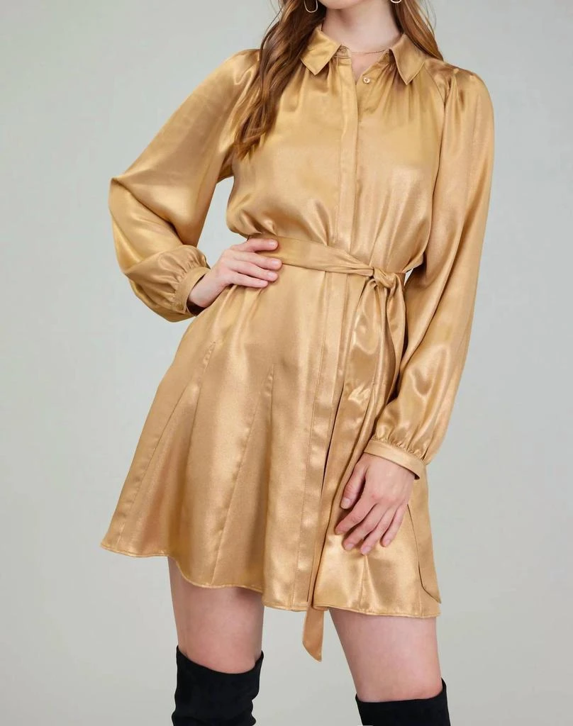 Amaya Belted Mini Dress Gold / L Amaya Belted Mini Dress Gold / L