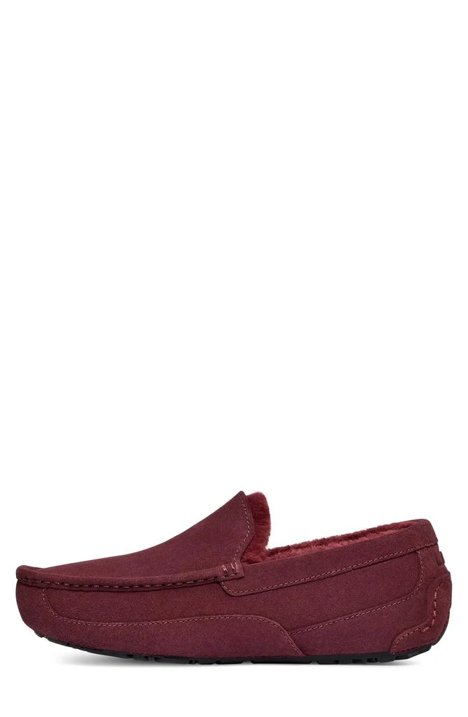 UGG Ascot Slipper 6