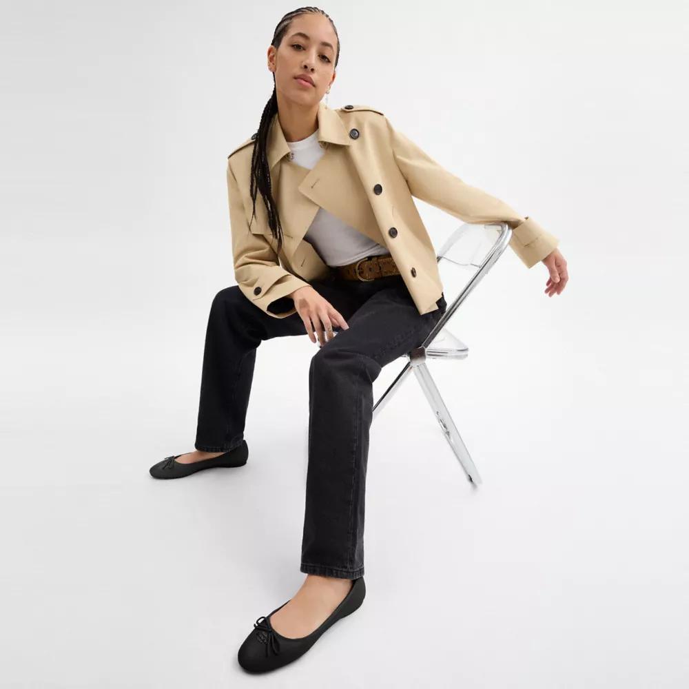 Coach Alina Ballet - Shoes - Compare Prices from 7+ Stores