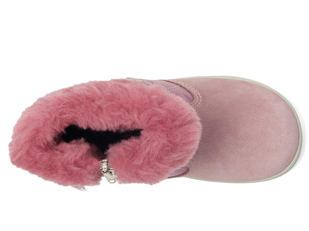 Primigi Kids PSNGT 68501 (Toddler/Little Kid)