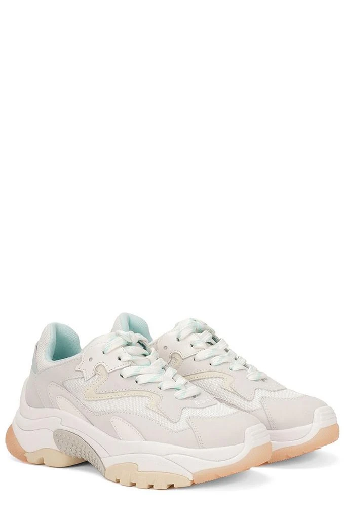 Ash Ash Addict Lace-Up Sneakers 4