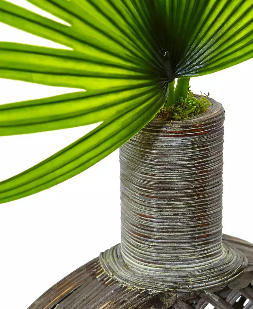 NEARLY NATURAL Artificial Fan Palm Arrangement in Open Weave Vase 2
