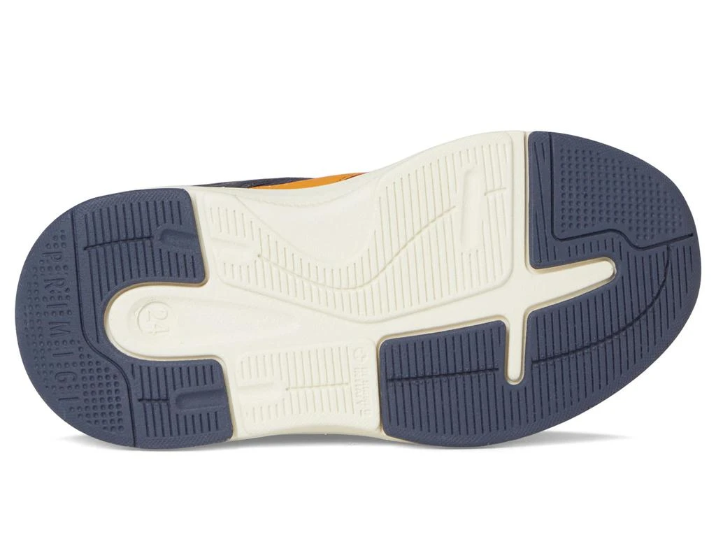 Primigi Kids PUP 69624 (Toddler/Little Kid) 3