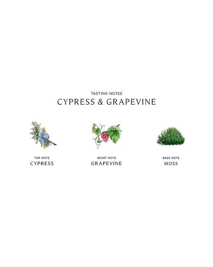 Jo Malone London Cypress & Grapevine Cologne Intense 3