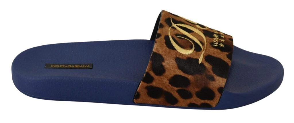 Shop Dolce & Gabbana Blue Brown Leopard Logo Rubber Slides  display picture 3