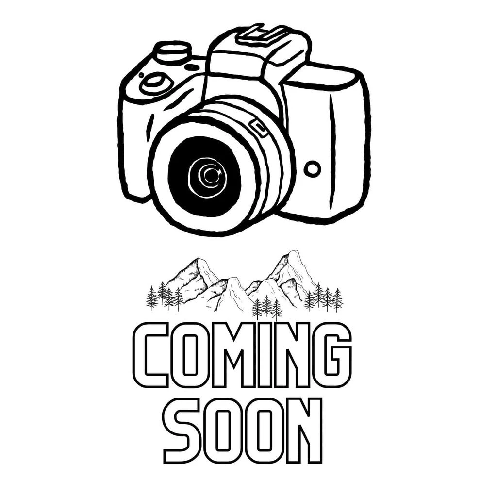 SmartWool Smartwool Women
s Hike Targeted Cushion Mid Crew Socks 4