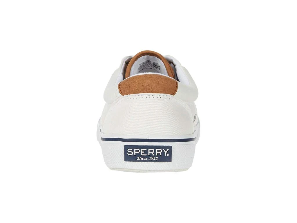 Sperry Striper II CVO Canvas 5