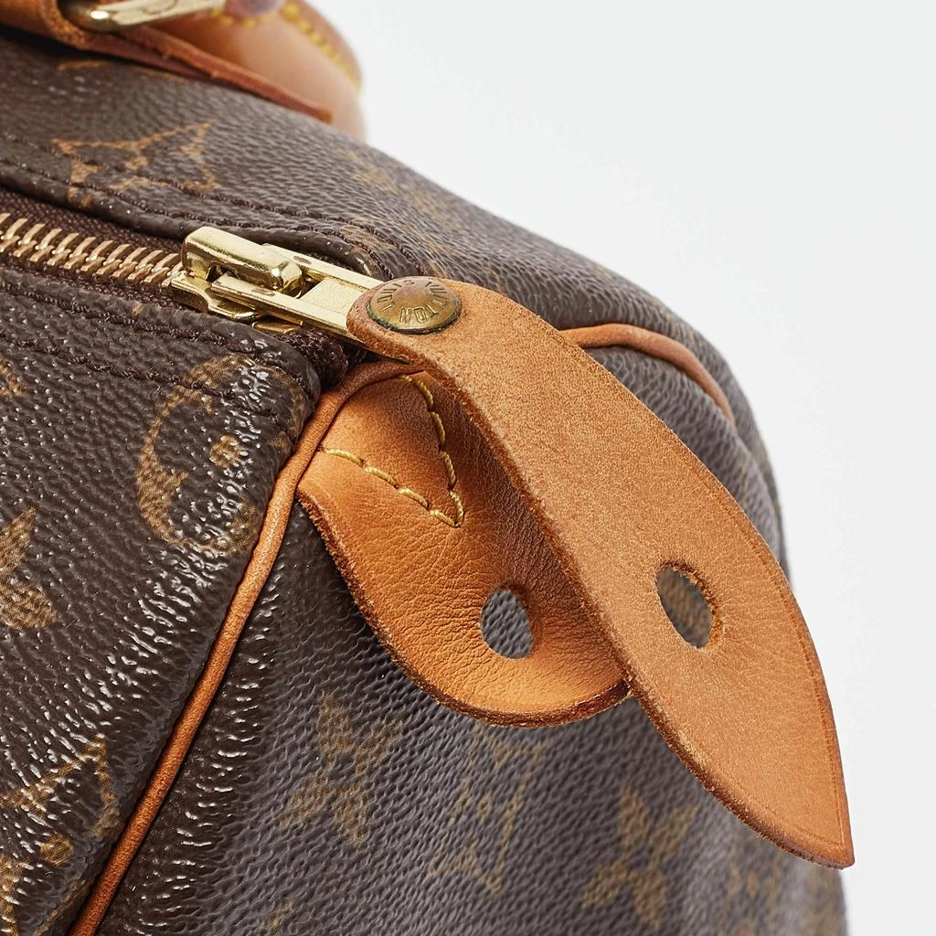 Louis Vuitton Louis Vuitton Monogram Canvas and Leather Speedy 25 Bag 10