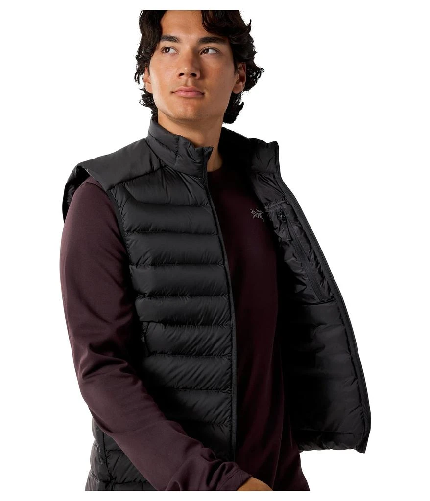 Arc
teryx Cerium Vest 4