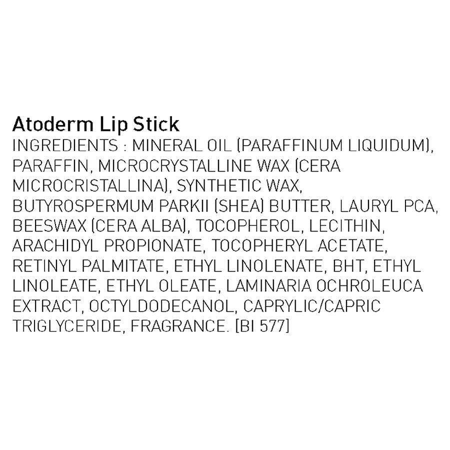 BIODERMA Atoderm Nourishing and Repairing Lip Stick for Dry and Damaged Lips