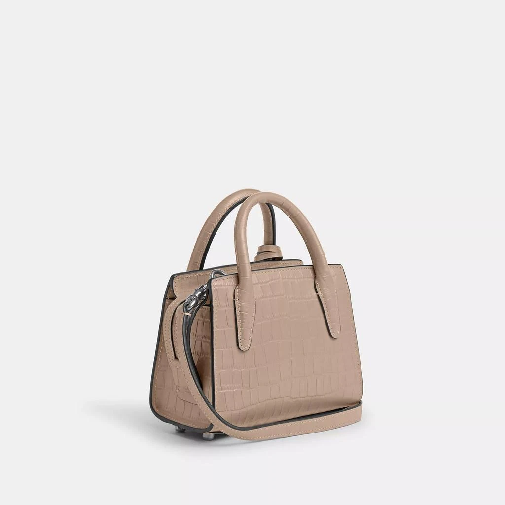 Coach Outlet Andrea Mini Carryall 2