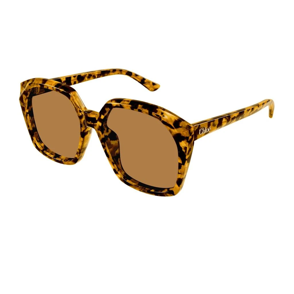 Chloé Ch0280s Linea  007 Havana Brown Sunglasses 2