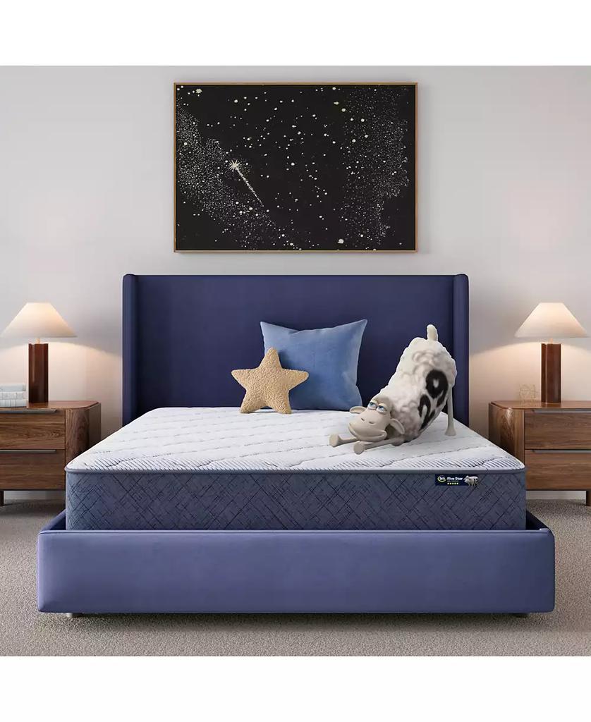 Serta Dream Haven 10" Medium Tight Top Mattress in a Box -