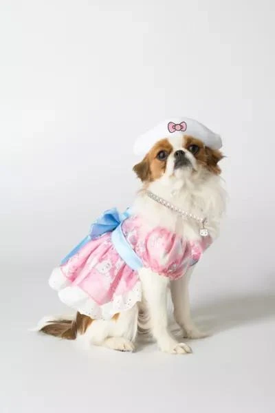 California Costumes Sanrio Hello Kitty Pet Costume 1