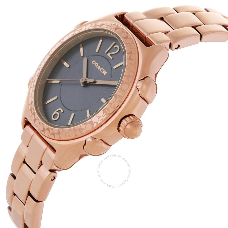 Coach Suzie Quartz Silver Dial Ladies Watch 14503963 2