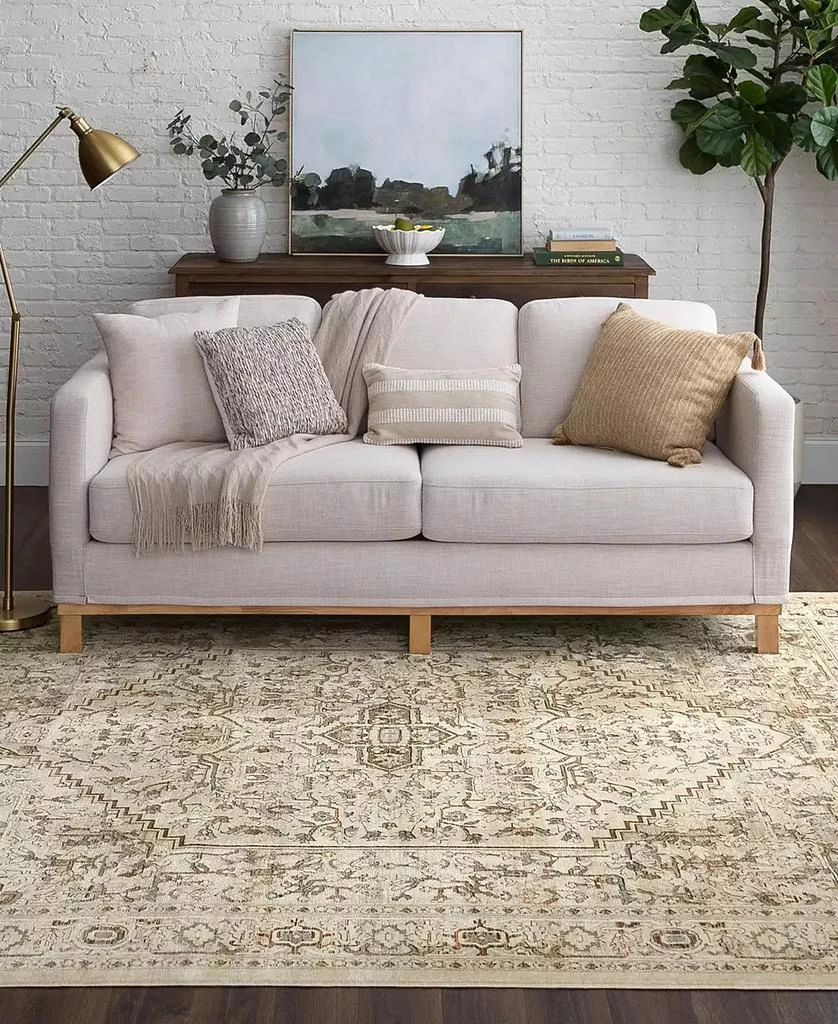 Karastan Divina Exalted 6'6" x 9'6" Area Rug 4