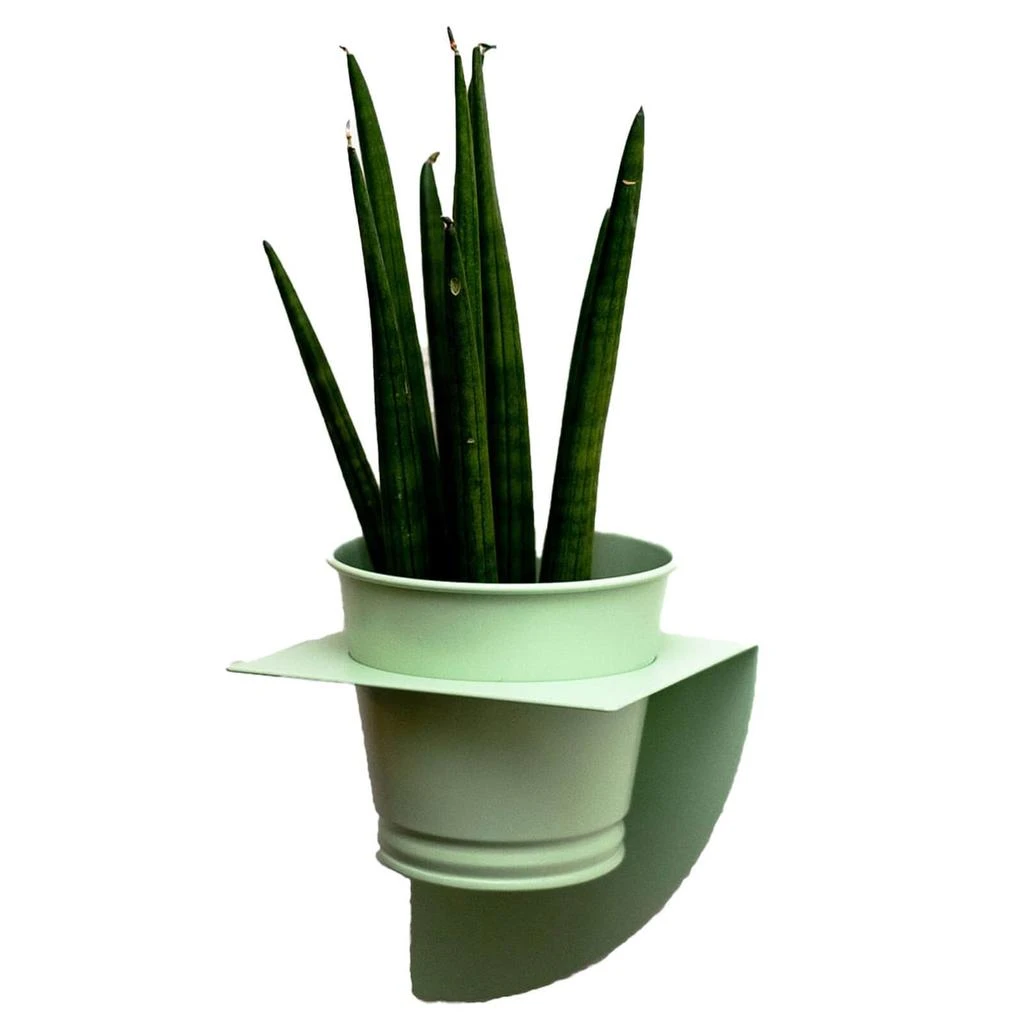 Peg & Board Peg & Board Arc Planter & Pot - Mint Green 1