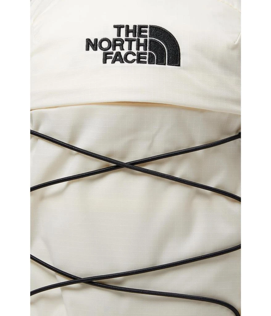 The North Face Borealis Mini Backpack 4