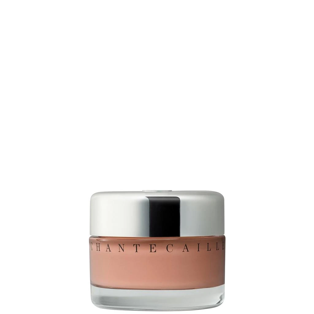 Chantecaille Chantecaille Future Skin Oil-Free Foundation 1 oz.