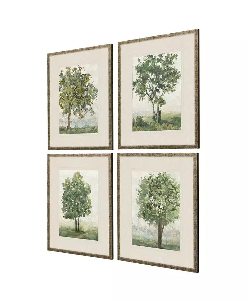 Paragon Picture Gallery Countryside Growth Framed Art, Set of 4 2