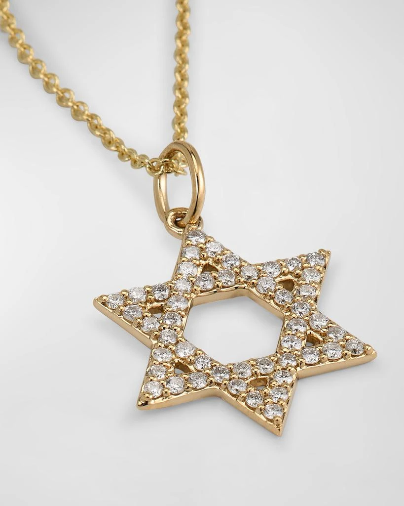 Sydney Evan 14K Star of David Charm on Light Chain Necklace 3