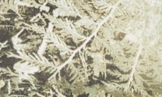 NIKE ACG Lunar Lake PrimaLoft<sup>®</sup> Water Repellent Puffer Jacket 4